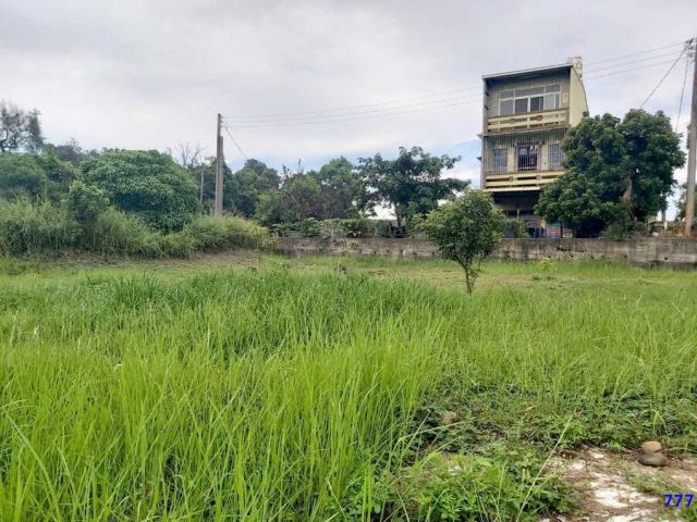 高雄大樹建地-1