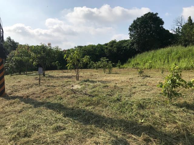 高雄大樹建地-8