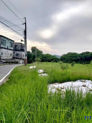 高雄大樹建地-3