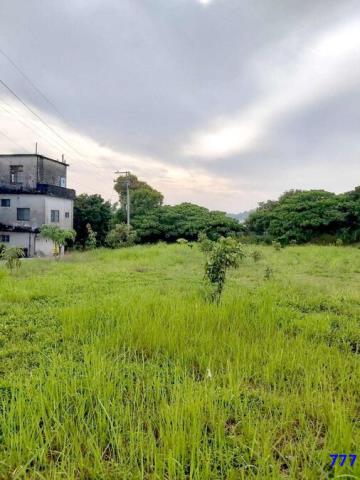 高雄大樹建地-4